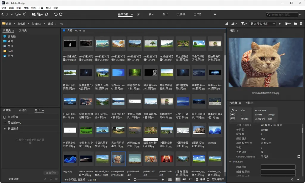 图片[2]-Adobe Bridge 2025 安装版（v15.1.0）-123资源库-免费的高质量游戏资源网站
