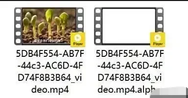 图片[8]-剪映国际版CapCut 6.7.0 功能和素材全免费！-123资源库-免费的高质量游戏资源网站