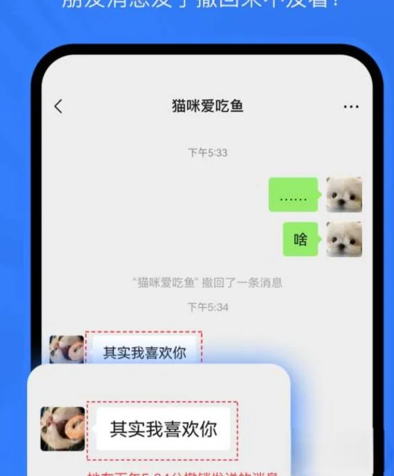 消息防撤回，支持多个聊天软件-123资源库-免费的高质量游戏资源网站