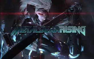 合金装备崛起：复仇/METAL GEAR RISING: REVENGEANCE-123资源库 - 123ZYK Free Share